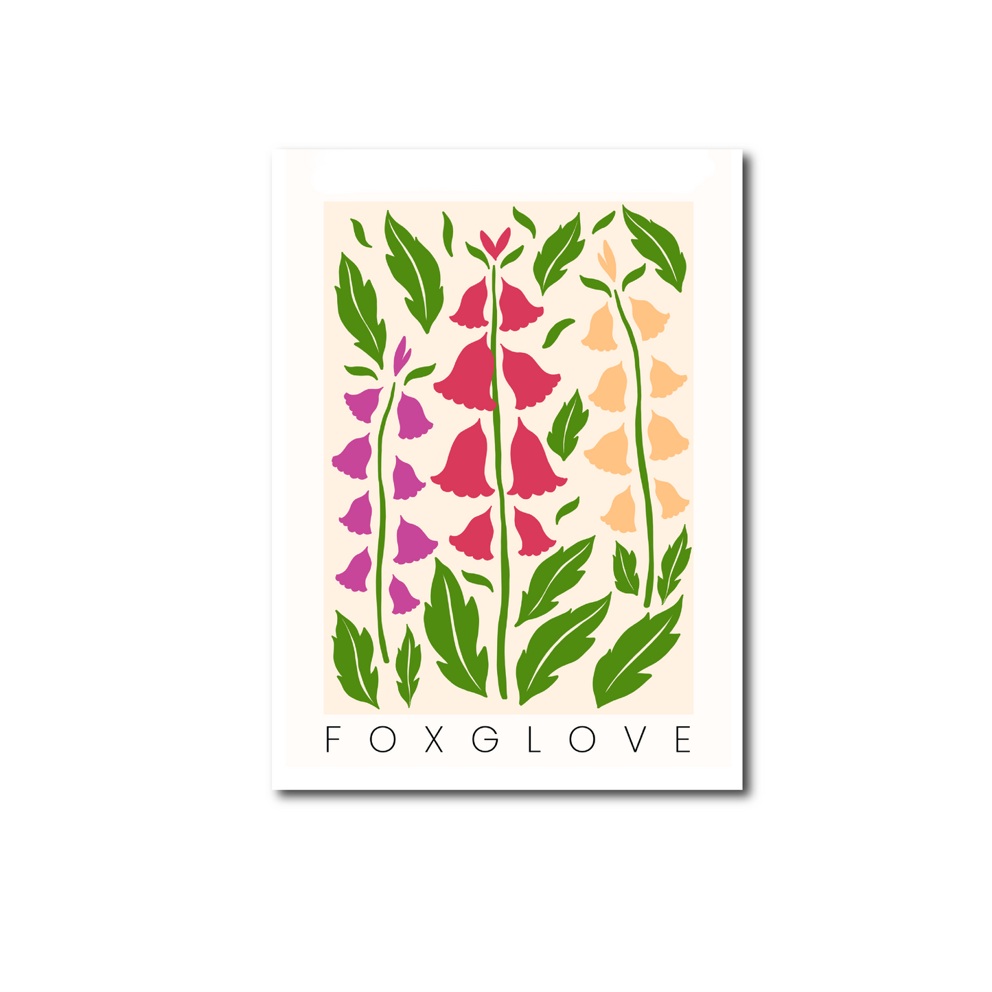 Carte - Foxglove