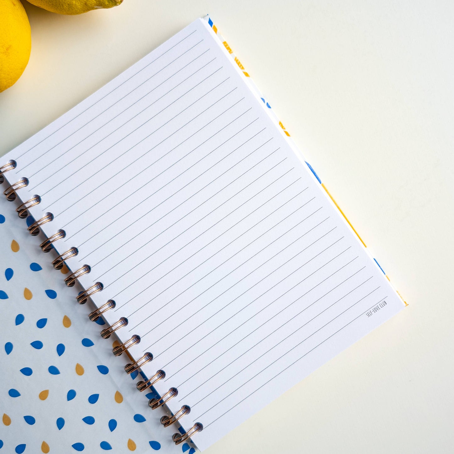 Carnet - Citrons