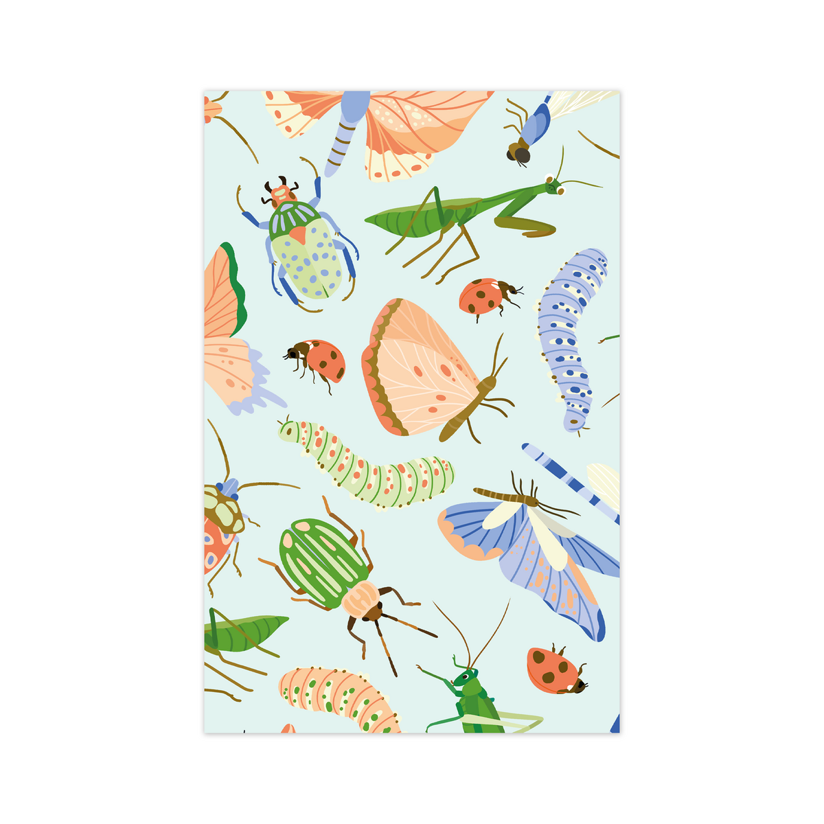 Mini-Carte - Insectes