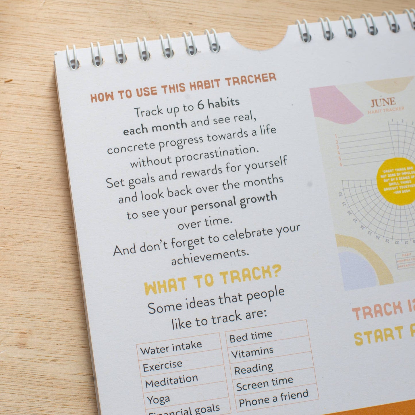 Habit Tracker 12 mois - Pastel Organic