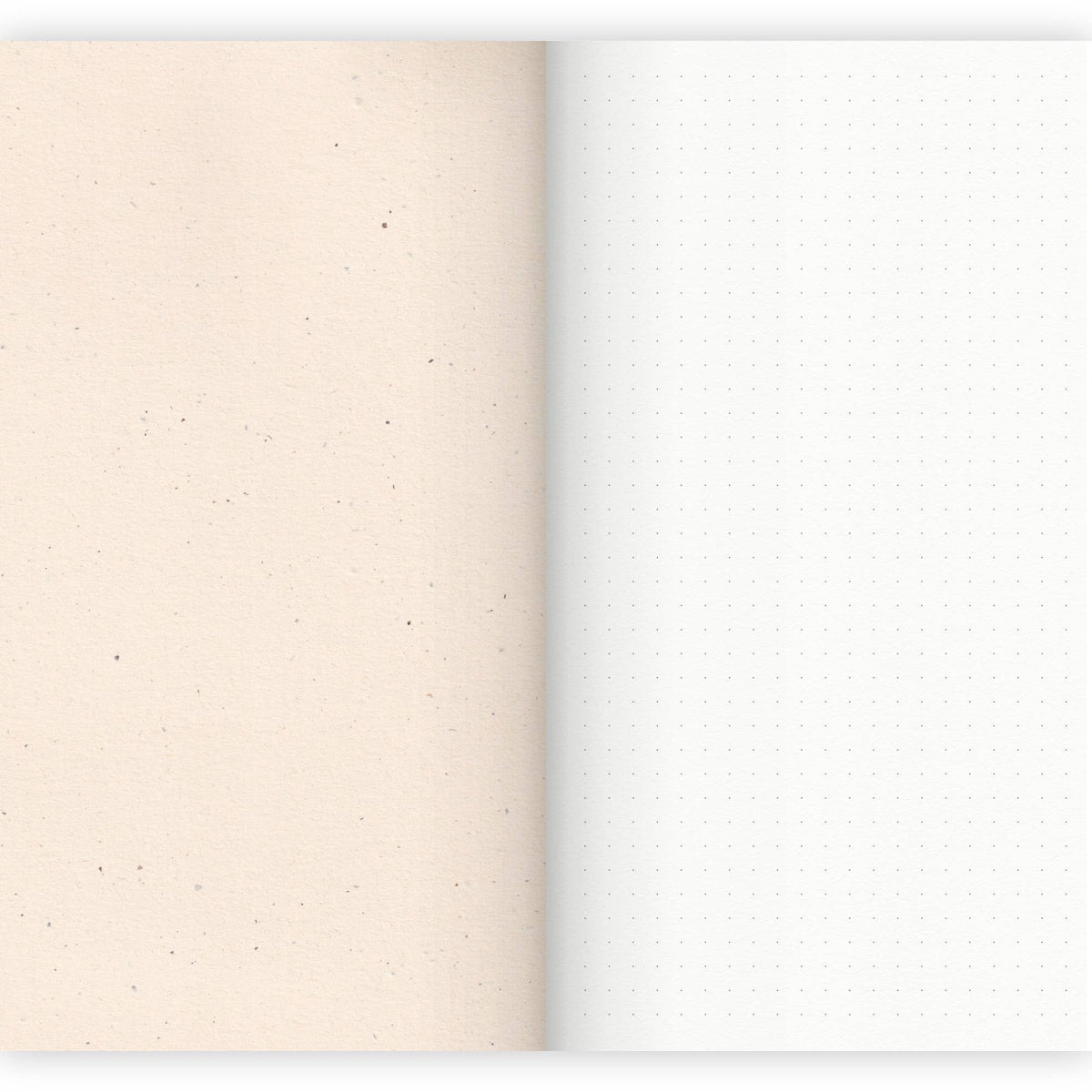 Carnet de notes vierge - Ornement
