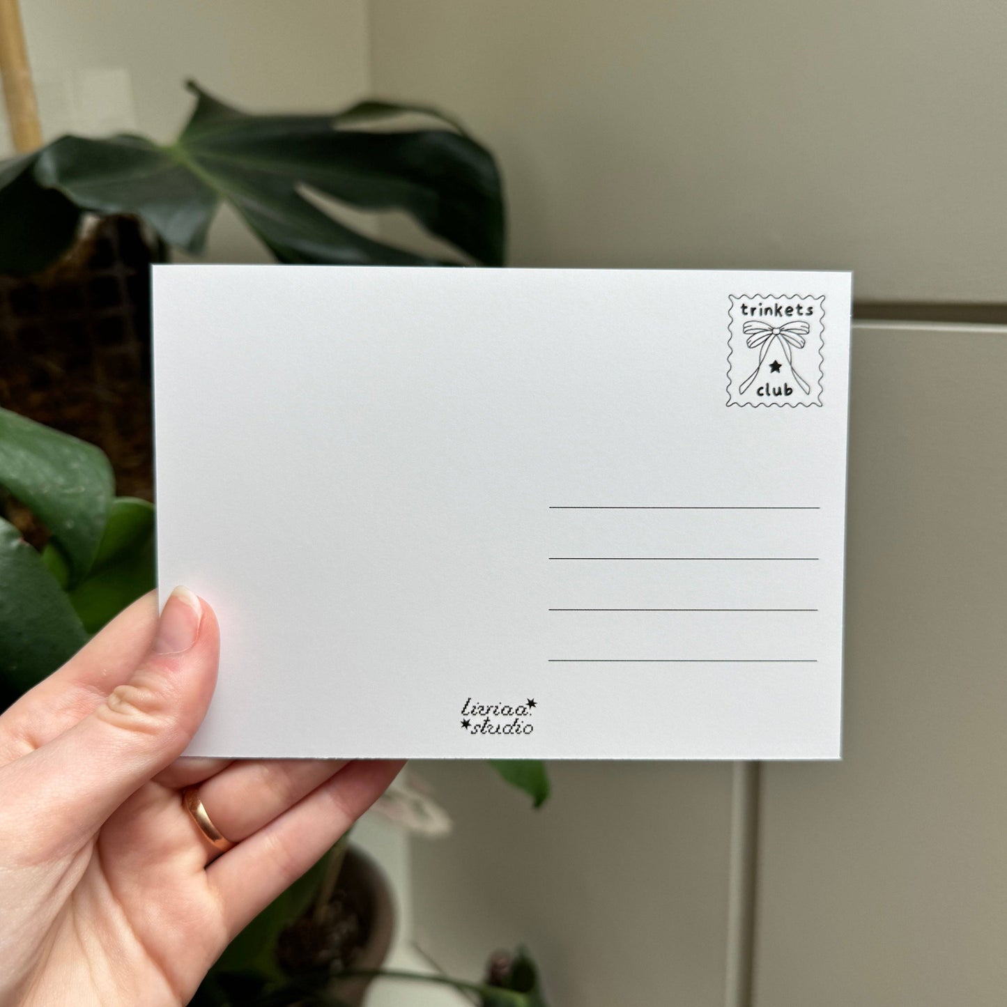 Carte postale - Cheval