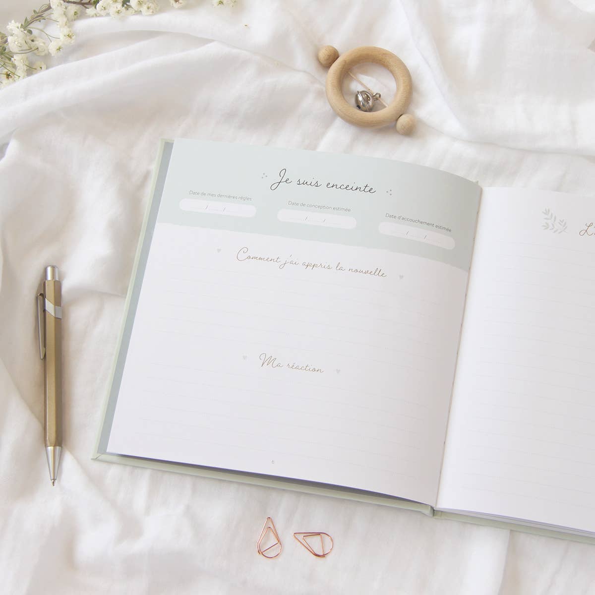 Journal de grossesse - Zü