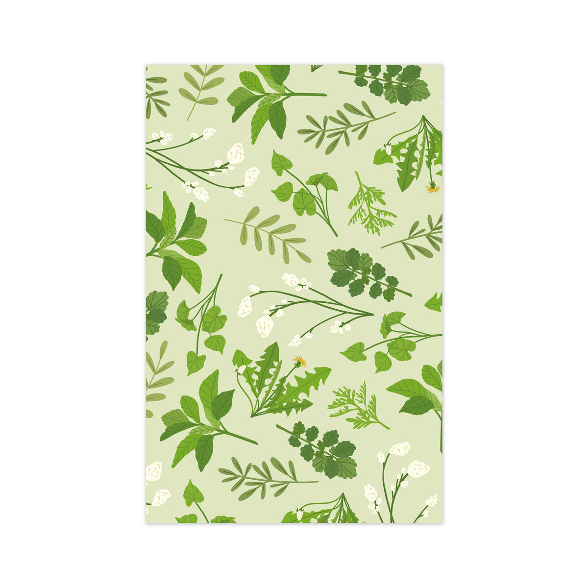 Mini-Carte - Herbes