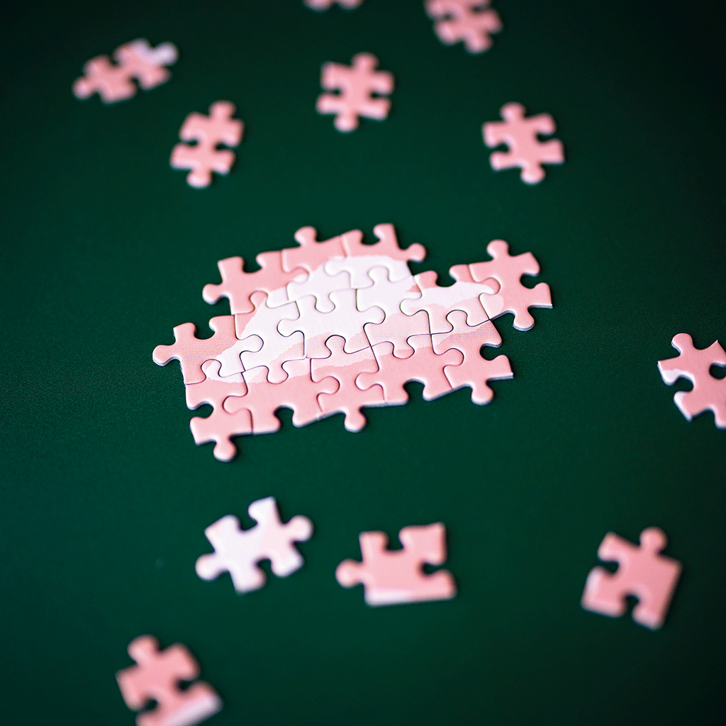 Puzzle 500 pièces - Love is in the air