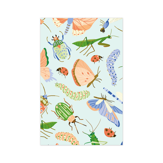 Mini-Carte - Insectes