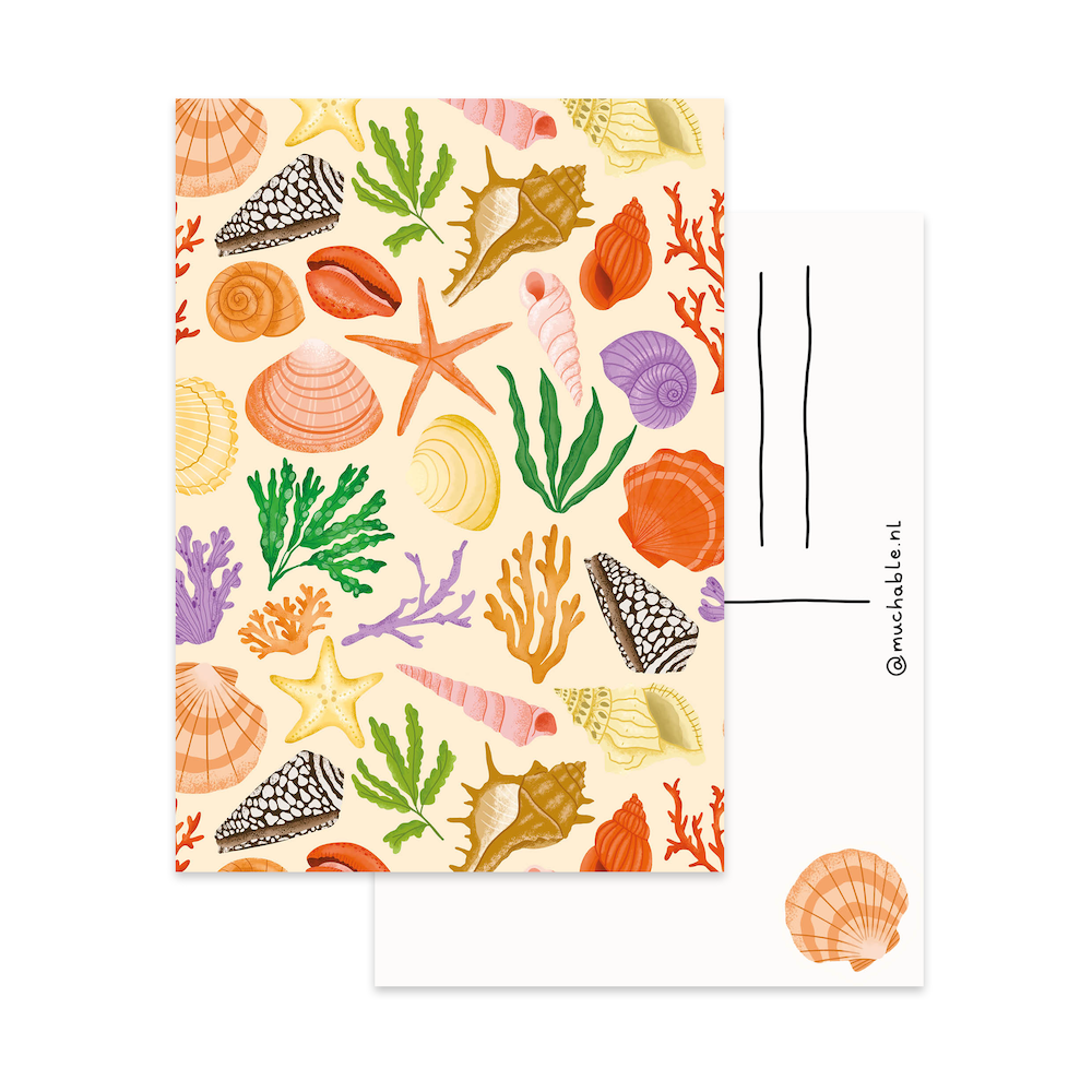 Carte - Coquillages