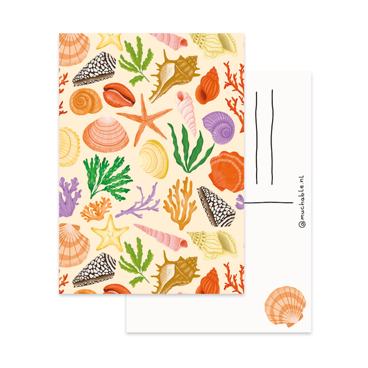 Carte - Coquillages