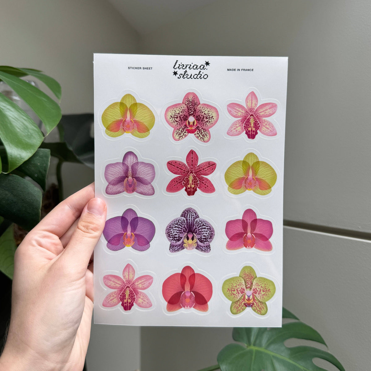 Planche de stickers - Orchidées