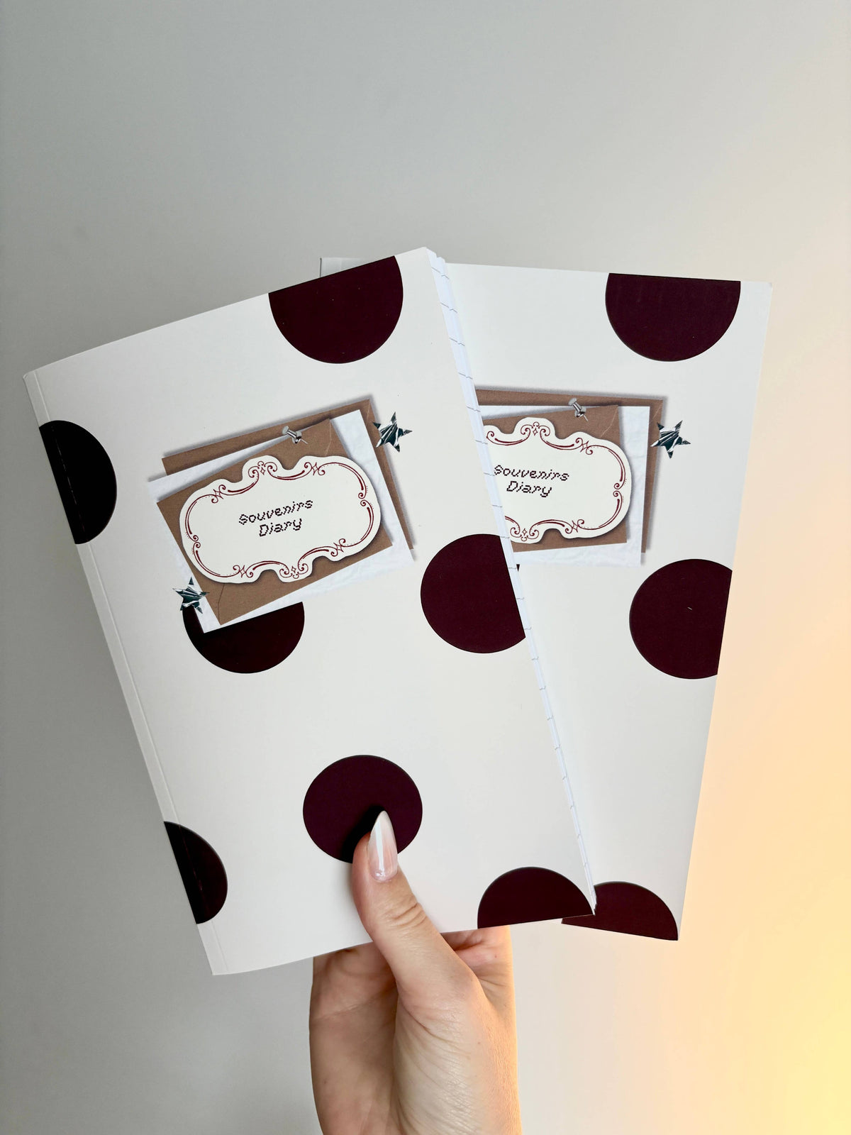 Carnet - Souvenirs Diary and stickers