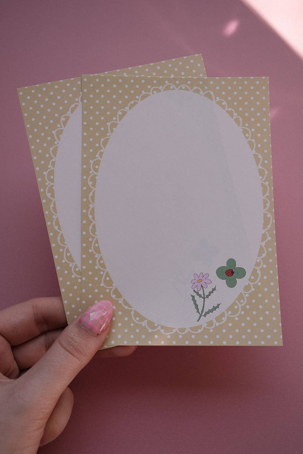Snail Mail Pack