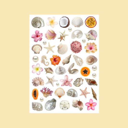 Planche de stickers - Sea Shells