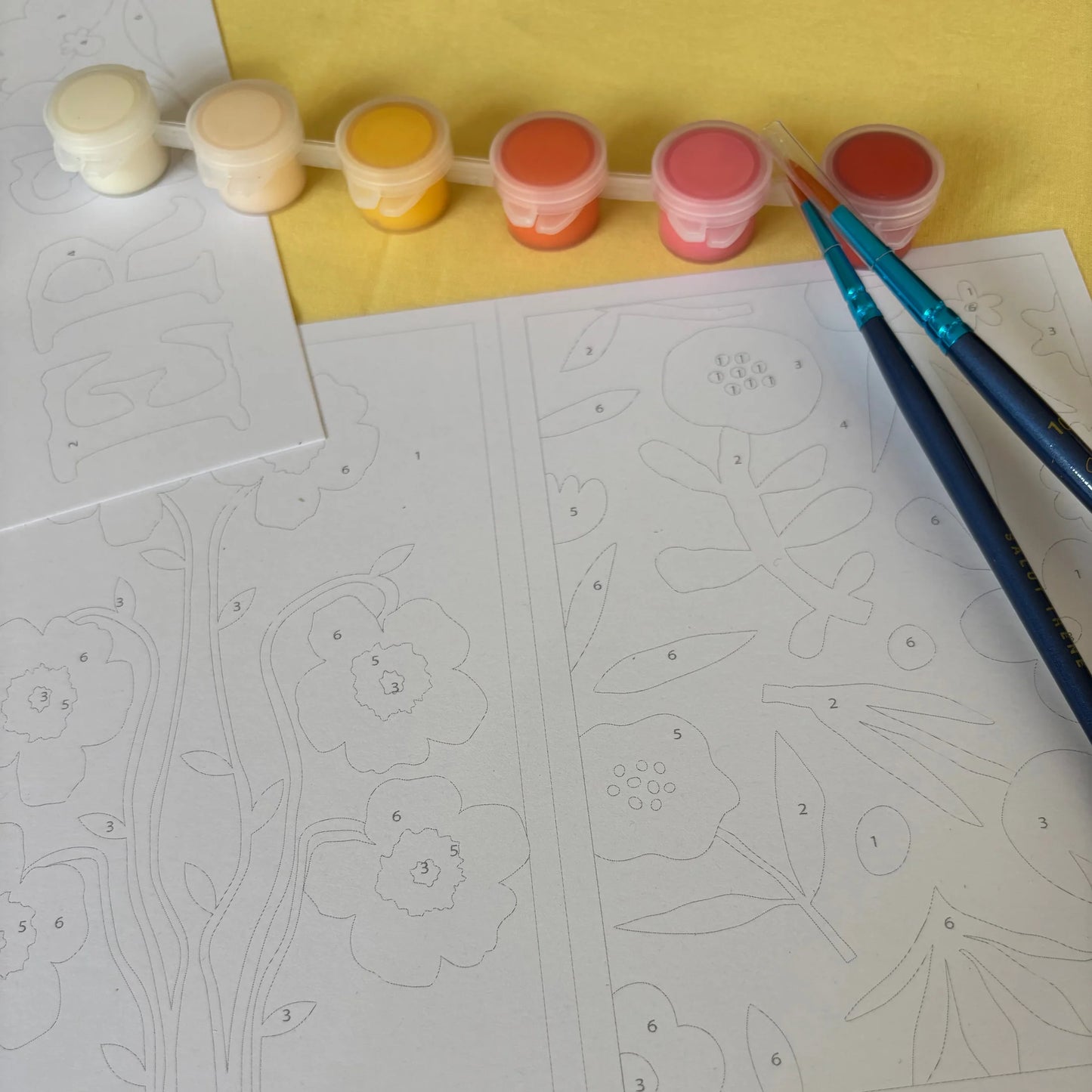 Peintures sur numéros - Palette Florale