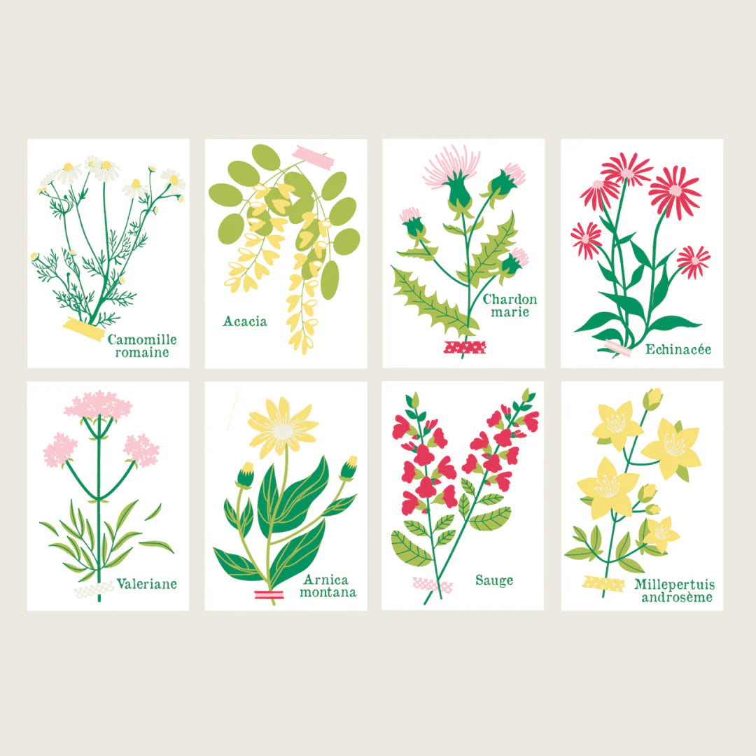 Peinture sur numéros - Cueillettes