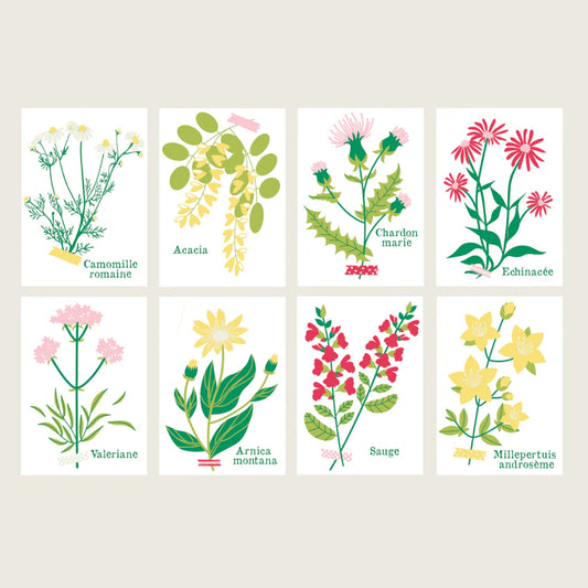 Peinture sur numéros - Cueillettes