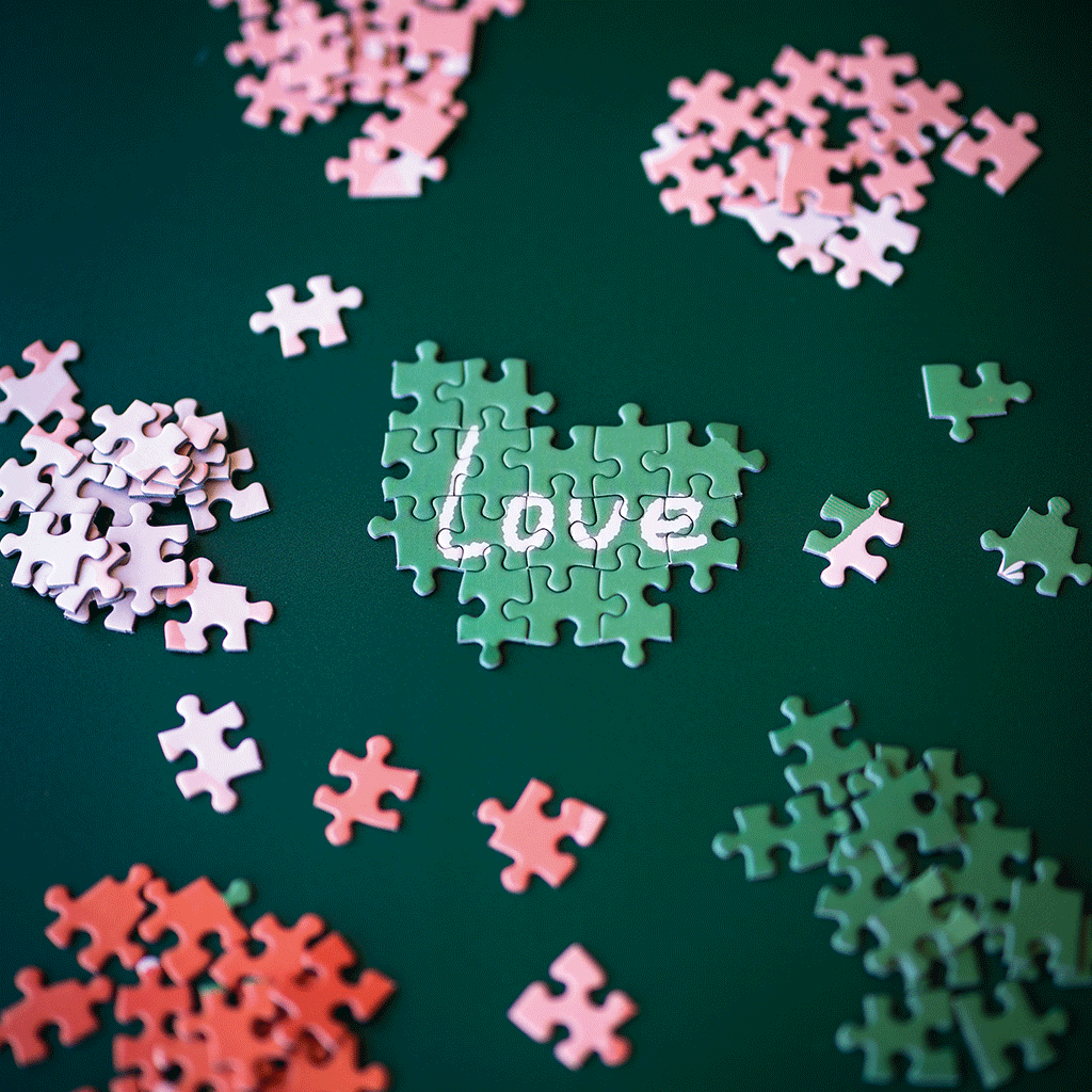 Puzzle 500 pièces - Love is in the air