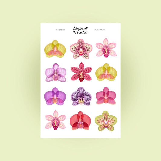Planche de stickers - Orchidées