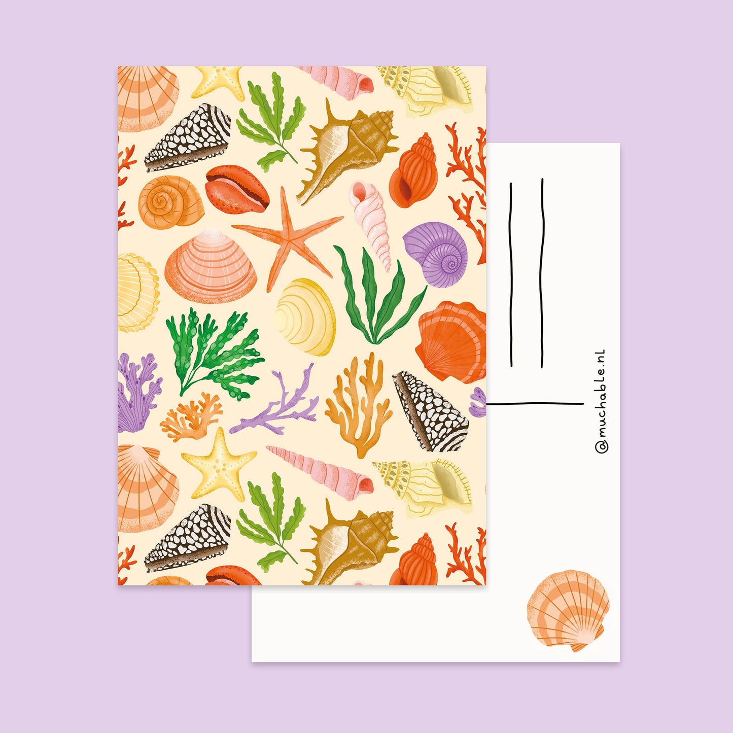 Carte - Coquillages