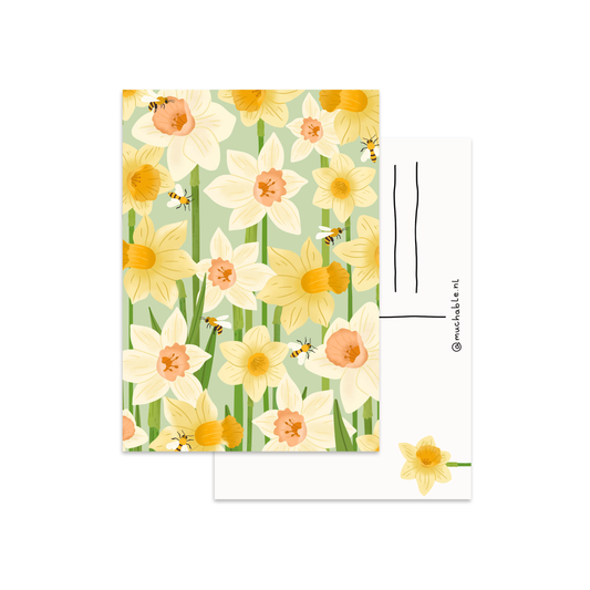 Carte postale - Jonquilles