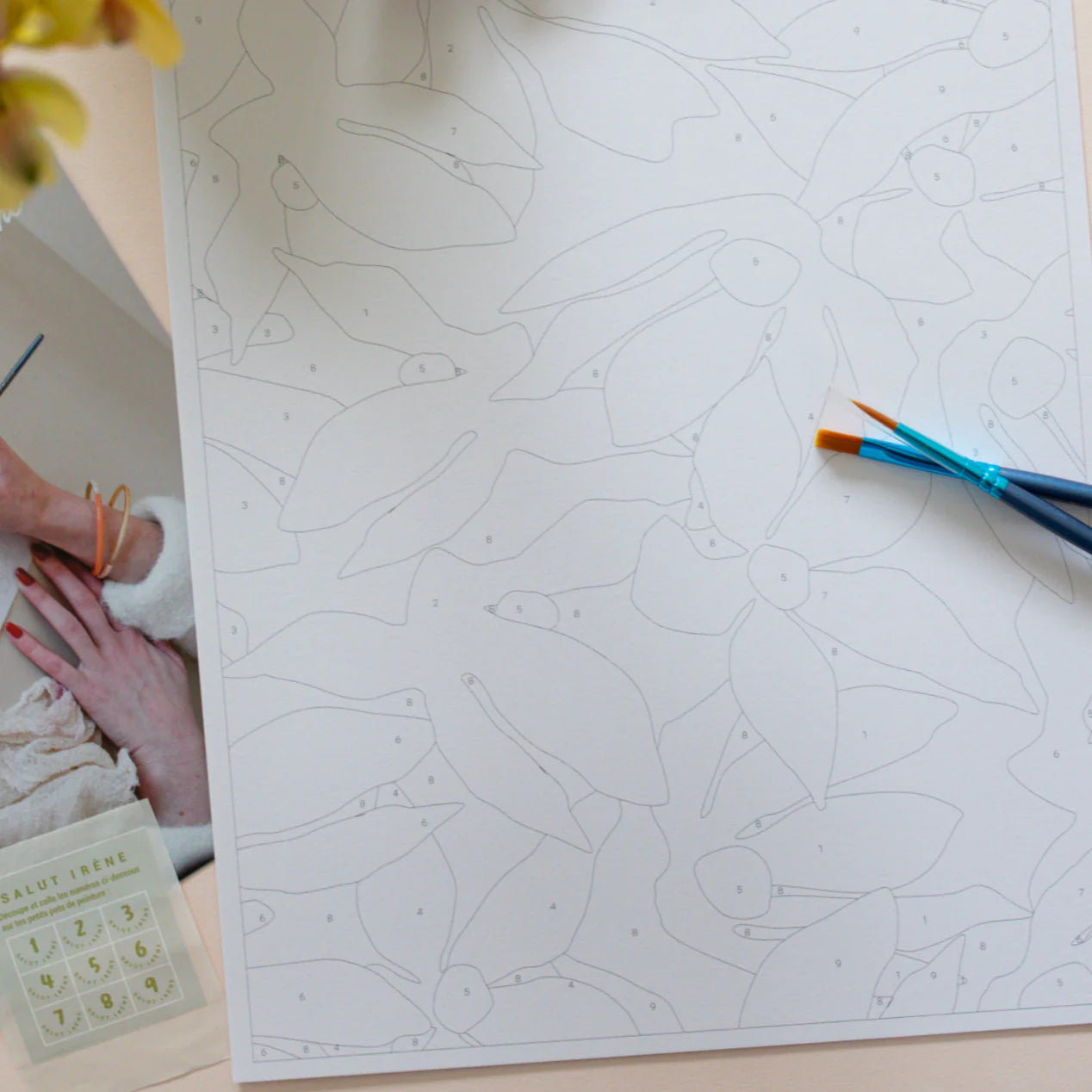 Peinture sur numéros - Fleurs